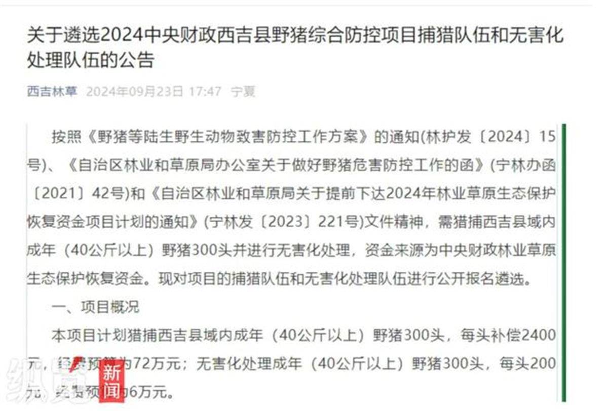 皇冠信用网出租_赏金猎人团已在南京捕获133头野猪皇冠信用网出租，还差67头才能拿到每头二三千元补贴，他们真的很赚钱？